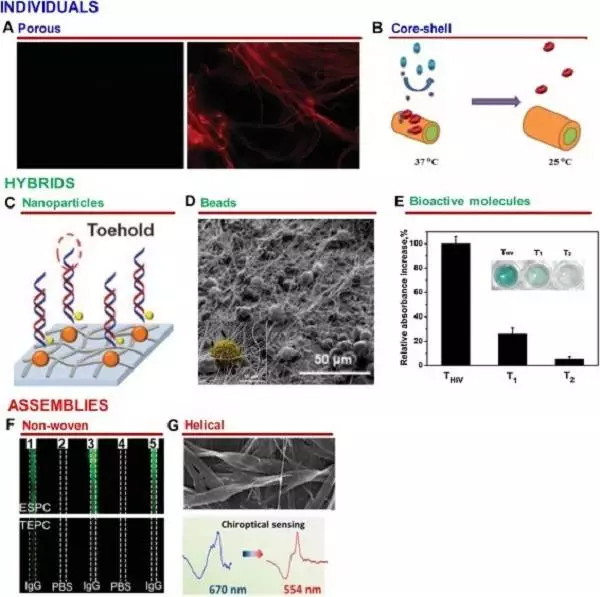 天津大学仰大勇团队综述:生物功能电纺纳米材料——从拓扑结构设计到生物应用的图16